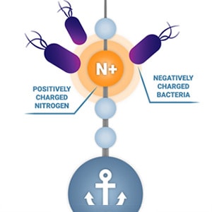 AEGIS attracts microbes